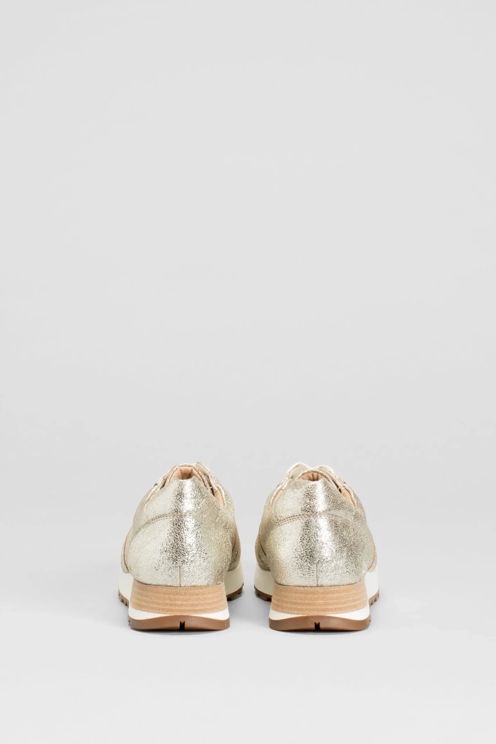 Beate Trainer|ELK