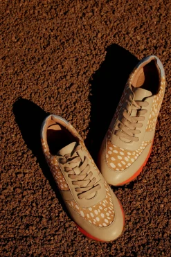 Orten Trainer|ELK Online